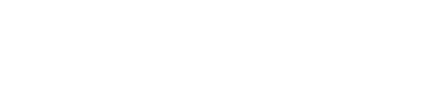 National Association of Plan Advisors Logo